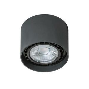 Stropní přisazené bodové svítidlo AZzardo Eco Alix black AZ1837 GU10+ADAP111/ES111 1x40W/1x50W IP20 12cm 230V černé obraz
