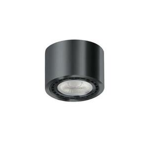 Stropní přisazené bodové svítidlo AZzardo Eco Alix New black/chrome AZ3494 ES111 1x35W IP20 12cm 230V černý chrom obraz