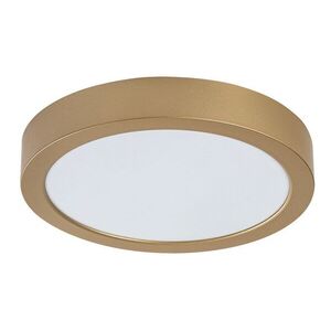 Rabalux Zlaté stropní LED svítidlo Shaun Plus kulaté 220mm 24W IP44 75078 obraz