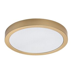 Rabalux Zlaté stropní LED svítidlo Shaun Plus kulaté 300mm 30W IP44 75079 obraz