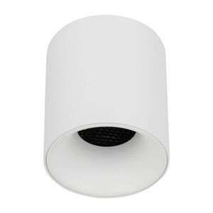 TK Lighting Bílé stropní LED svítidlo Blaze kulaté 73mm 12W CCT TK18157 obraz