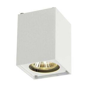 BIG WHITE SLV ALTRA DICE, stropní svítidlo, QPAR51, hranaté, bílé, max. 35 W 151511 obraz