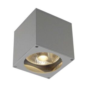 BIG WHITE SLV BIG THEO WALL, venkovní nástěnné svítidlo, QPAR111, IP44, hranaté, stříbrošedé, max. 75 W 229564 obraz