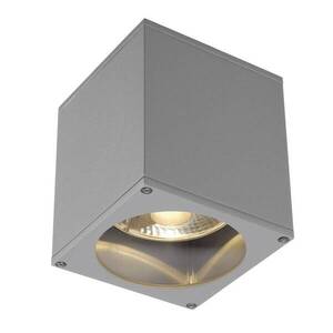 BIG WHITE SLV BIG THEO, venkovní stropní svítidlo, QPAR111, IP44, hranaté, stříbrošedé, max. 75 W 229554 obraz