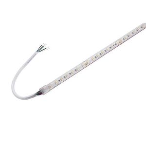 BIG WHITE SLV GRAZIA IP FLEXSTRIP 24 V RGBW IP55 1004737 obraz