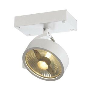 BIG WHITE SLV KALU, nástěnné a stropní svítidlo, jedna žárovka, QPAR111, kulaté, bílé matné, max. 75 W 147301 obraz