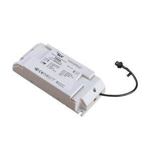 BIG WHITE SLV LED driver 28–40 W 1000 mA PHASE 1004066 obraz