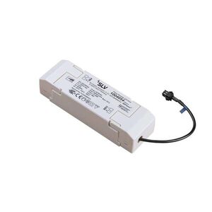 BIG WHITE SLV LED driver 30 W 500 mA PHASE 1004054 obraz