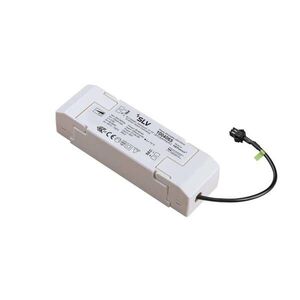 BIG WHITE SLV LED driver 30 W 700 mA 1004065 obraz