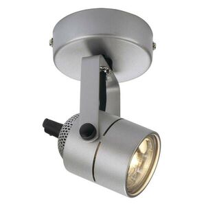 BIG WHITE SLV SPOT 79, nástěnné a stropní svítidlo, QPAR51, kulaté, stříbrošedé, 230 V, max. 50 W 132024 obraz