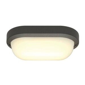 BIG WHITE SLV TERANG 2, venkovní nástěnné a stropní svítidlo, LED, 3000K, IP44, oválné, antracit, 11 W 229935 obraz