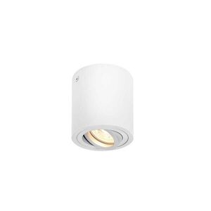 BIG WHITE SLV TRILEDO CL vnitřní stropní nástavbové svítidlo, QPAR51, bílá, max. 10W 1002011 obraz