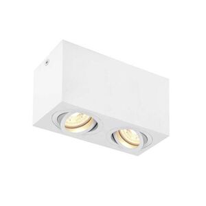 BIG WHITE SLV TRILEDO Double vnitřní stropní nástavbové svítidlo, QPAR51, bílá, max. 10W 1002006 obraz