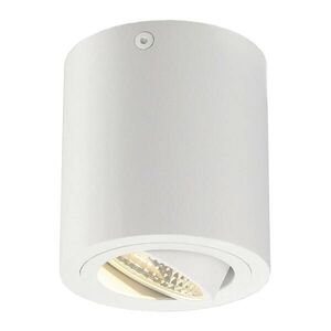 BIG WHITE SLV TRILEDO ROUND CL, stropní svítidlo, LED, 3000K, kulaté, bílé, 38°, 8, 2 W, vč. ovladače 113931 obraz