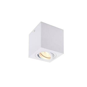 BIG WHITE SLV TRILEDO Single vnitřní stropní nástavbové svítidlo, QPAR51, bílá, max. 10W 1002015 obraz