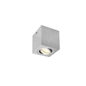 BIG WHITE SLV TRILEDO Single vnitřní stropní nástavbové svítidlo, QPAR51, kartáčovaný hliník, max. 10W 1002004 obraz