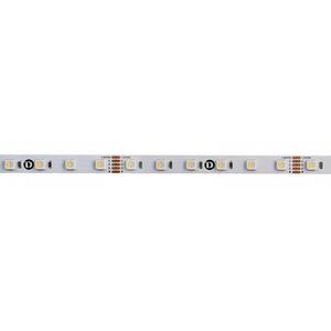 Deko-Light flexibilní LED pásek 5050-60-24V-RGB+3000K-5m 24V DC 70, 00 W 3000 K 2900 lm 5000 mm 840236 obraz