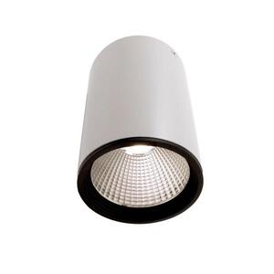 Deko-Light KapegoLED stropní přisazené svítidlo Luna 20 220-240V AC/50-60Hz 20, 50 W 4000 K 1440 lm bílá 348057 obraz