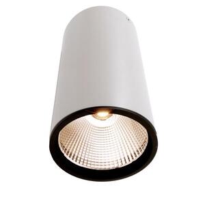 Deko-Light KapegoLED stropní přisazené svítidlo Luna 40 220-240V AC/50-60Hz 40, 20 W 3000 K 2520 lm bílá 348063 obraz