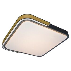 Rabalux stropní svítidlo Arild LED 48W CCT RGB DIM 71146 obraz