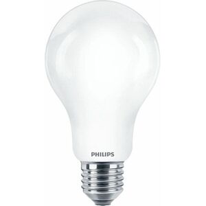 Philips LED classic 120W A67 E27 CW FR ND obraz