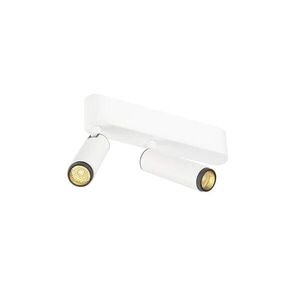BIG WHITE SLV GRIP! S Povrchové stropní svítidlo, dvojité, PHASE, 3000 K, 21 W, 29°, bílá / černá 1009045 obraz