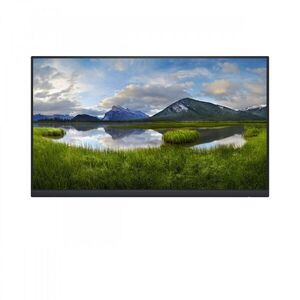 DELL P Series P2422H_WOST 60, 5 cm (23.8") 1920 x 1080 DELL-P2422HWOS obraz
