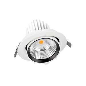 LEDVANCE SPOT VARIO DN 170 35 W 4000 K 24DEG WT 4058075104044 obraz