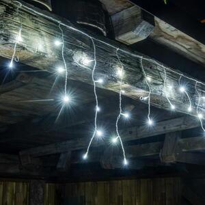DecoLED LED rampouchy - 2 x 0, 5 m, 40 ledově bílých diod obraz