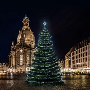 DecoLED LED světelná sada na stromy vysoké 15-17m, ledová bílá obraz