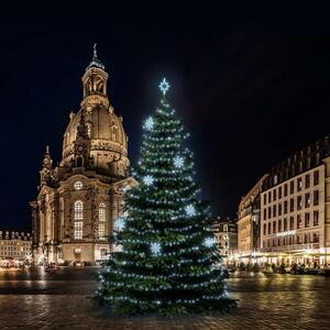 DecoLED LED světelná sada na stromy vysoké 15-17m, ledová bílá s dekory 8EFD08 obraz