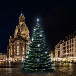 DecoLED LED světelná sada na stromy vysoké 15-17m, ledová bílá s dekory DZ113S4 obraz