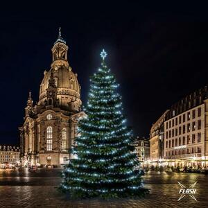 DecoLED LED světelná sada na stromy vysoké 15-17m, ledová bílá s Flash obraz
