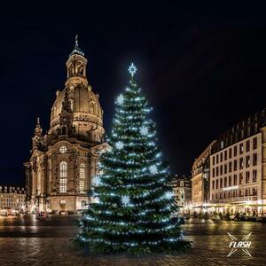DecoLED LED světelná sada na stromy vysoké 15-17m, ledová bílá s Flash, dekory 8EFD08 obraz