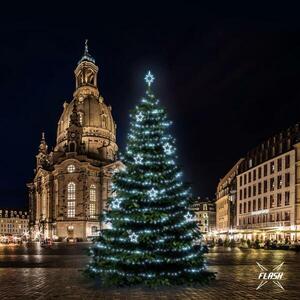 DecoLED LED světelná sada na stromy vysoké 15-17m, ledová bílá s Flash, dekory 8EFD13 obraz