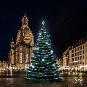 DecoLED LED světelná sada na stromy vysoké 15-17m, ledová bílá s Flash, dekory EFD01 obraz
