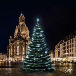 DecoLED LED světelná sada na stromy vysoké 15-17m, ledová bílá s Flash, dekory EFD09S2 obraz