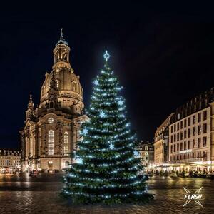 DecoLED LED světelná sada na stromy vysoké 15-17m, ledová bílá s Flesh, dekory EFD05 obraz