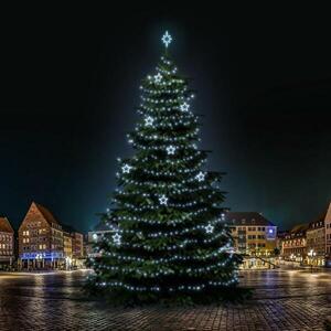 DecoLED LED světelná sada na stromy vysoké 21-23m, ledová bílá s dekory 8EFD13 obraz