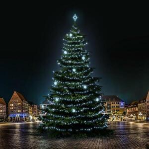 DecoLED LED světelná sada na stromy vysoké 21-23m, ledová bílá s dekory EFD05 obraz