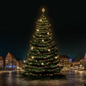 DecoLED LED světelná sada na stromy vysoké 21-23m, teplá bílá s dekory EFD02W obraz
