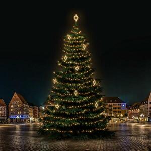 DecoLED LED světelná sada na stromy vysoké 21-23m, teplá bílá s dekory EFD10WS2 obraz