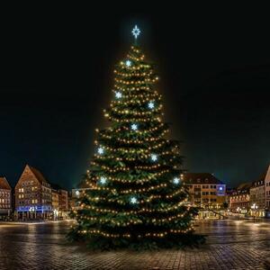 DecoLED LED světelná sada na stromy vysoké 21-23m, teplá bílá s ledově bílými dekory EFD05 obraz