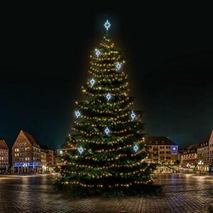 DecoLED LED světelná sada na stromy vysoké 21-23m, teplá bílá s ledově bílými dekory EFD09S2 obraz