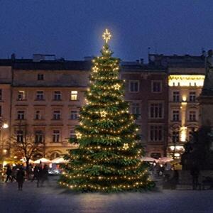 DecoLED LED světelná sada na stromy vysoké 6-8m, teplá bílá s dekory EFD12W obraz