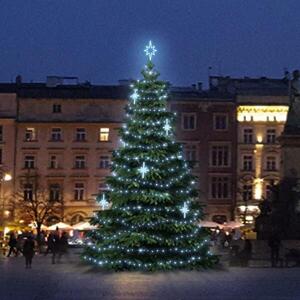 DecoLED LED světelná sada na stromy vysoké 9-11m, ledová bílá s dekory EFD15S2 obraz