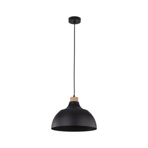 TK Lighting Černý závěsný lustr Cap pro žárovku E27 TK2071 obraz