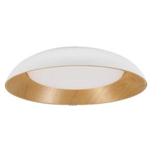 LEDVANCE stropní svítidlo Orbis Alva 505 mm 36 W 3000 K stmívatelné obraz