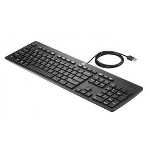 USB Business Slim Keyboard FR - Keyboard - AZERTY N3R87AA#ABF obraz