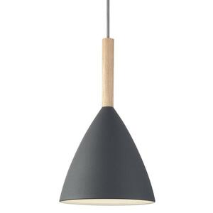 NORDLUX závěsné svítídlo Pure 20 šedá 43293010 obraz